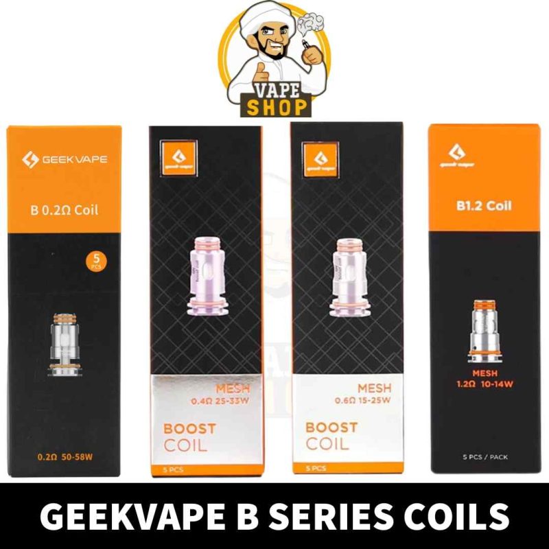 Best GEEKVAPE B Series Coil B02, B04, B06, B12 in UAE