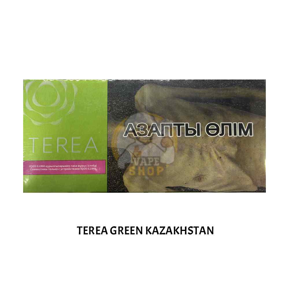Best HEETS Terea Kazakhstan 200 Sticks Price in Dubai, UAE