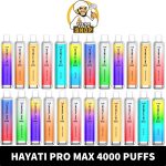 HAYATI Pro Max 4000 Puffs Vape Near Me From Vape Shop AE | Best Quality HAYATI Pro Max 4000 Puffs 20mg Disposable Vape in Dubai