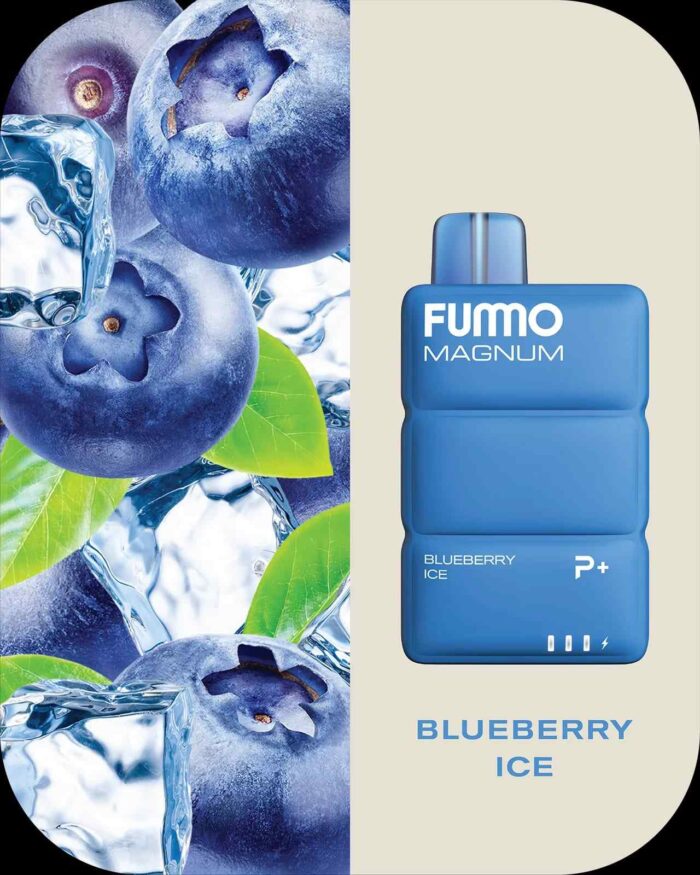 FUMMO MAGNUM 8000 Puffs Price in Dubai BLUEBERRY ICE