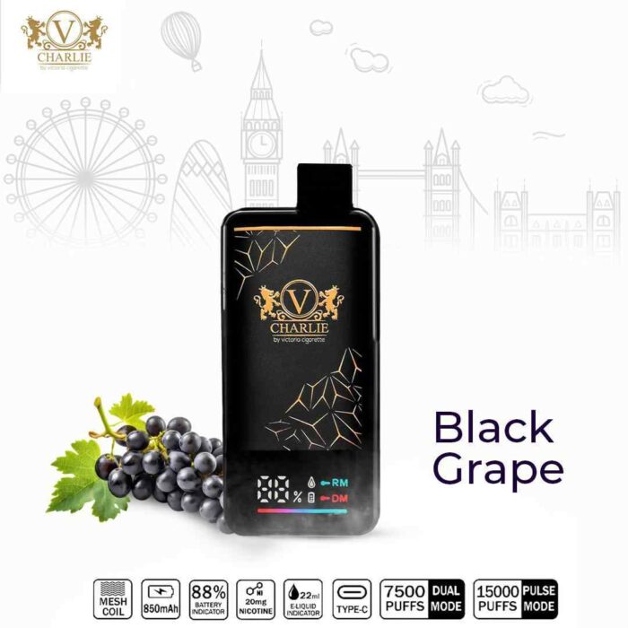 VICIG Charlie 15000 Puffs Price in Dubai BLACK GRAPE