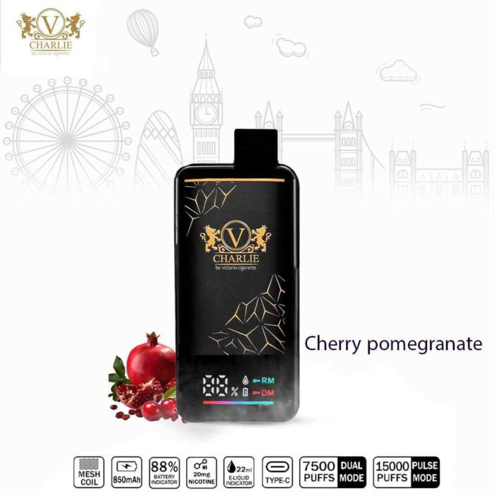 VICIG Charlie 15000 Puffs Price in Dubai CHERRY POMEGRANATE