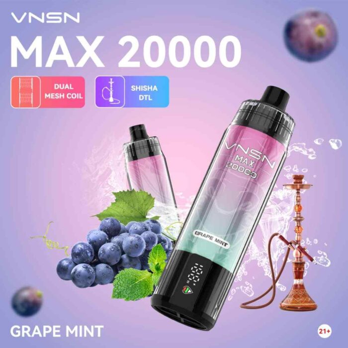 VNSN MAX 20000 Puffs 20K Price in Dubai GRAPE MINT