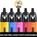 kalyan pro 12000 puffs