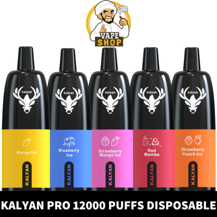 KALYAN PRO 12000 Puffs Price in Dubai