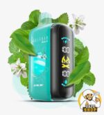 ELF BAR RAYA D3 25000 Puffs Price in Dubai APINE MINT