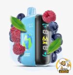 ELF BAR RAYA D3 25000 Puffs Price in Dubai BLUEBERRY RASPBERRY