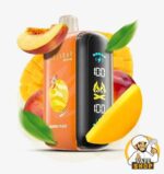 ELF BAR RAYA D3 25000 Puffs Price in Dubai MANGO PEACH