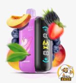 ELF BAR RAYA D3 25000 Puffs Price in Dubai PEACH BERRY