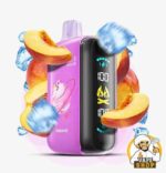 ELF BAR RAYA D3 25000 Puffs Price in Dubai PEACH ICE