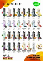 VOZOL GEAR SHISHA 25000 Puffs Price in UAE