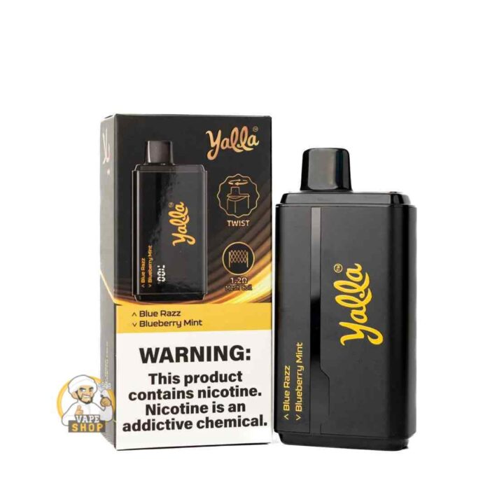 YALLA 24000 PUFFS PRICE IN DUBAI BLUE RAZZ - BLUEBERRY MINT