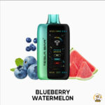 TESLA BAR XT 40000 PUFFS BLUEBERRY WATERMELON