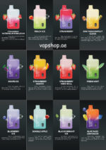 NERD FIRE 10000 PUFFS Vape