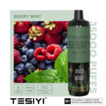 TESYI ULTRA SHISHA 35000 PUFFS BERRY MINT