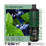 TESYI ULTRA SHISHA 35000 PUFFS BLUEBERRY MINT
