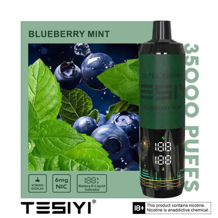 TESYI ULTRA SHISHA 35000 PUFFS BLUEBERRY MINT