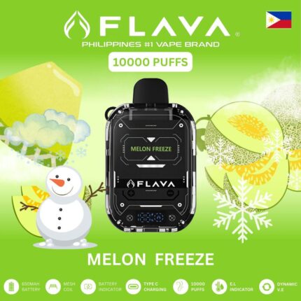 Flava Nimmbox 10000 Puffs MELON FREEZE