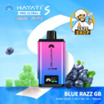 Hayati Pro Ultra Plus 50000 Puffs 20MG Nicotine Blue Razz GB