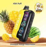 Oxbar TRI Fusion 45000 Puffs 50mg Nicotine Pineapple Mango Watermelon