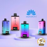Hayati pro ultra plus 50000 puffs 20MG nicotine