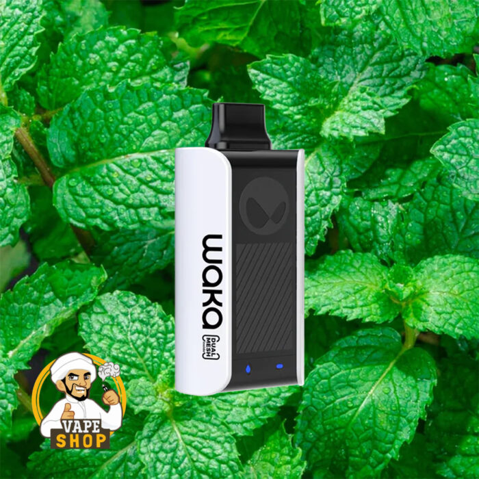 WAKA Sopro 10000 Puff Disposable Vape Fresh_Mint