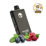 Waka Blade 50000 Puffs Disposable Vape In Dubai blueberry raspberry