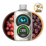 Waka PA 25000 Puffs Disposable Vape 50 MG Cranberry_Grape