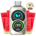 Waka PA 25000 Puffs Disposable Vape 50 MG Watermellon_Chill