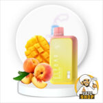 ELFBAR Raya D1 13000 Puffs 50mg Nicotine Peach Mango