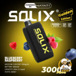 Hayati Solix 30000 Puffs 50MG Nicotine Disposable Vape Blueberry Raspberry
