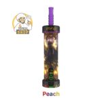 MFU SHISHA X1 Hookah 40000 Puff Disposable Peach