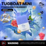 Tugboat Mini 2000 Puffs 2 Nicotine Disposable Vape in UAE Pomegranate Blueberry
