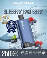 RELX Peace 25k puffs 20MG Disposable Vape in Dubai Blueberry Raspberry
