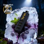 vaal cyber shisha dtl 50000 puffs 5mg grape mint