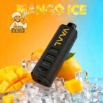 vaal cyber shisha dtl 50000 puffs 5mg mango ice