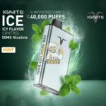 IGNITE ICE Disposable 40K Puffs Mint