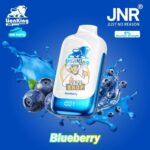 jnr lion king 50000 puffs 50mg nicotine blueberry