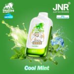 jnr lion king 50000 puffs 50mg nicotine cool mint