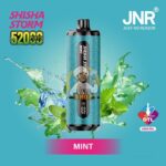 jnr shisha storm 52000 puffs disposable vape 2 dtl in the uae mint 1