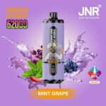 jnr shisha storm 52000 puffs disposable vape 2 dtl in the uae mint grape 1