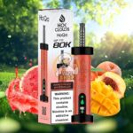 hoqa hok clouds 80k puffs 5 nicotine shisha based vape mango peach watermelon
