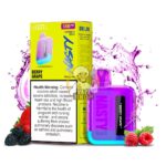 nasty bar 1200 puffs 20mg nicotine none rechargeable vape berry grape