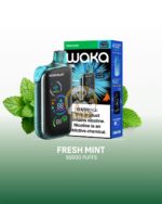 waka blast 50000 puffs disposable vape 50mg in the uae fresh mint 3