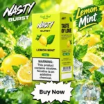 nasty burst 3mg 60ml vape juice in uae lemon mint
